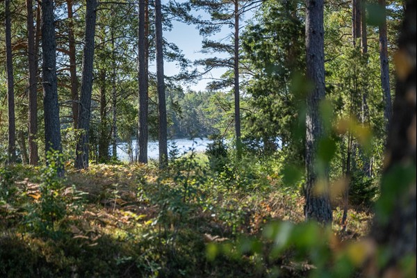 Mäklare i Sörmland